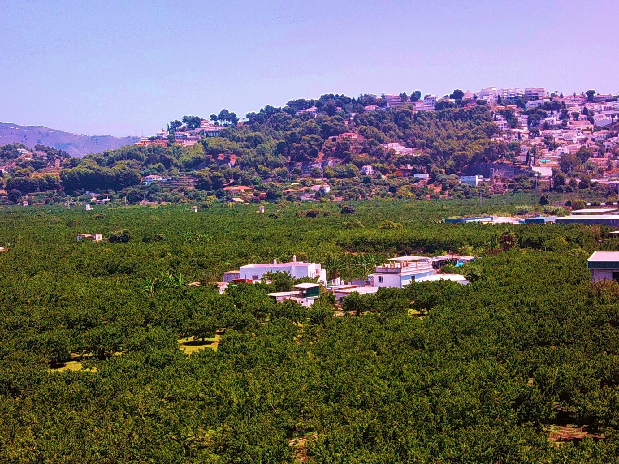 Hotel San Sebastian Almuñécar المظهر الخارجي الصورة